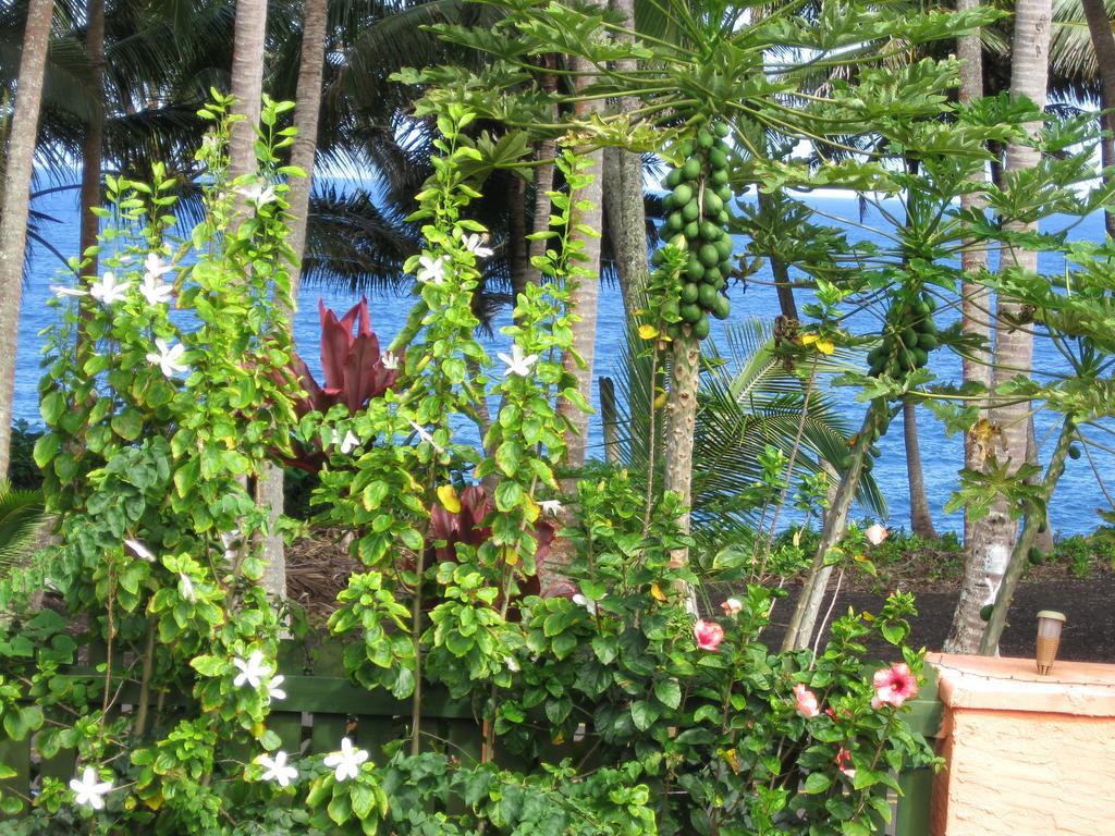 Oceanfront Cottage Near The Kalapana Lava Flows Kehena Room photo