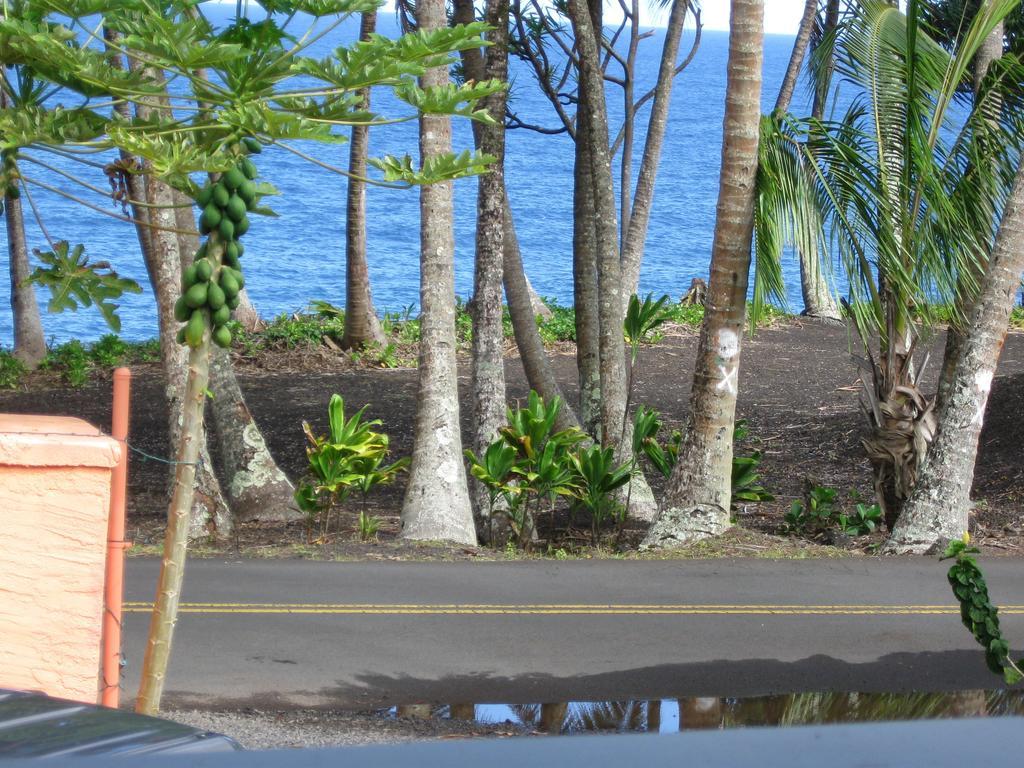 Oceanfront Cottage Near The Kalapana Lava Flows Kehena Room photo