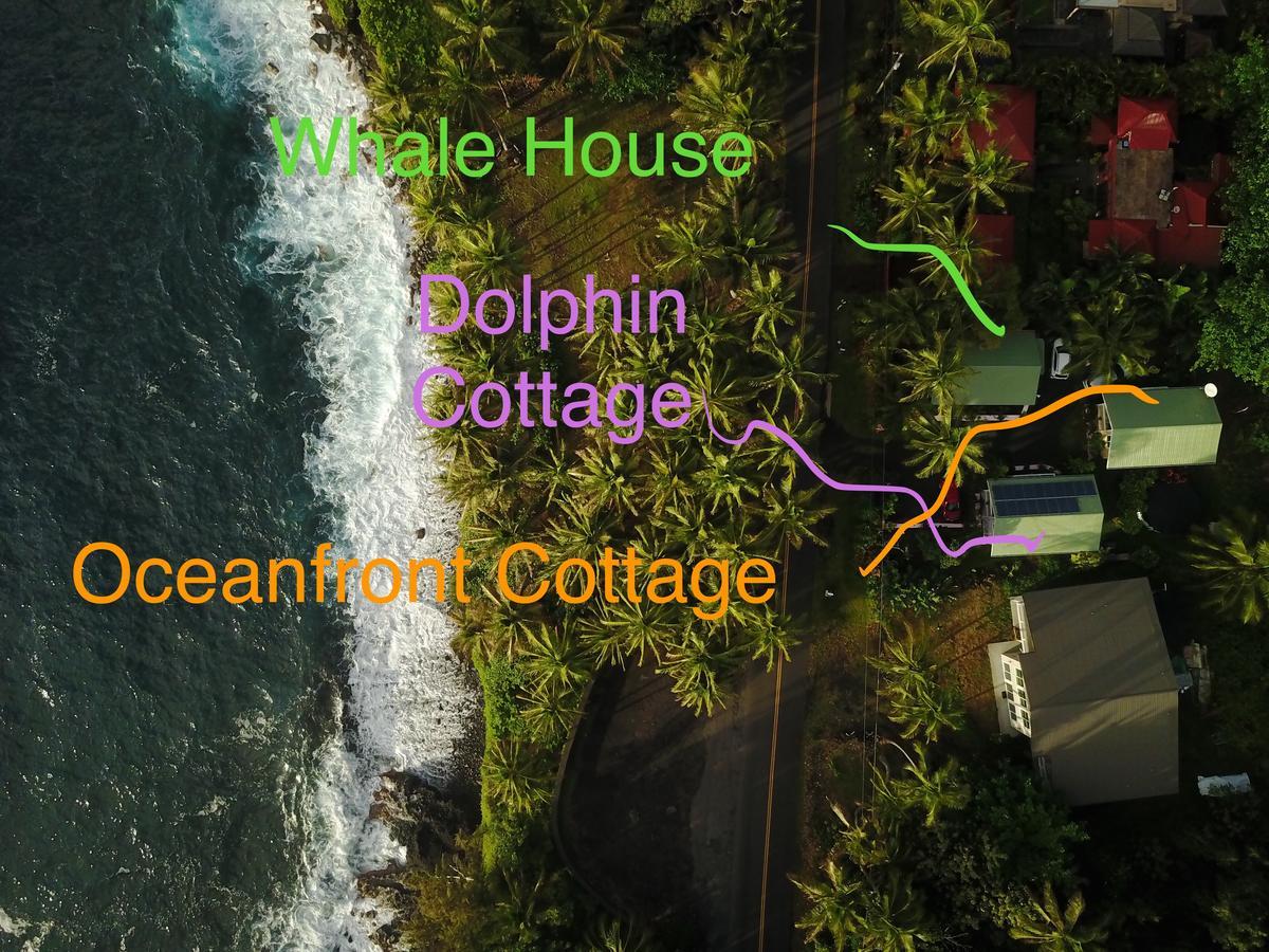Oceanfront Cottage Near The Kalapana Lava Flows Kehena Exterior photo