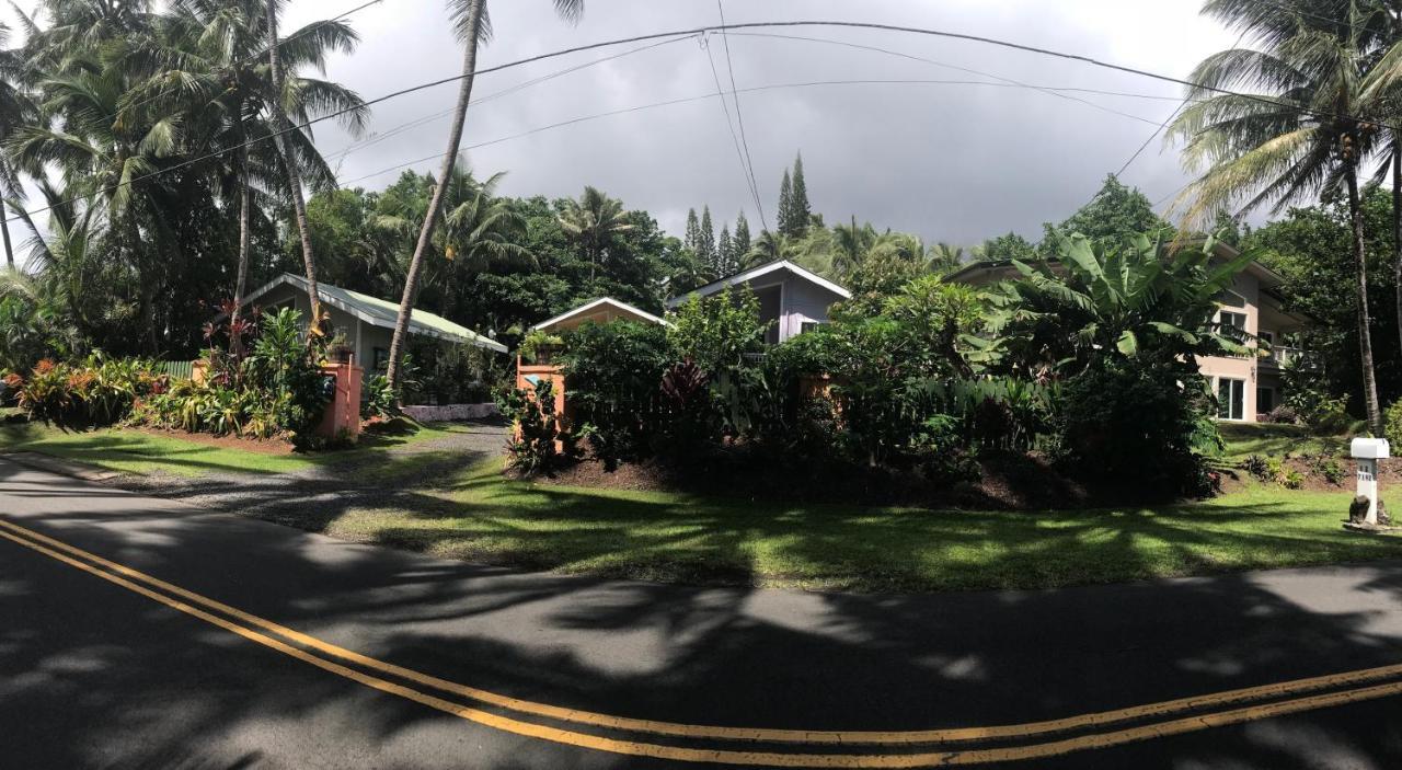 Oceanfront Cottage Near The Kalapana Lava Flows Kehena Exterior photo